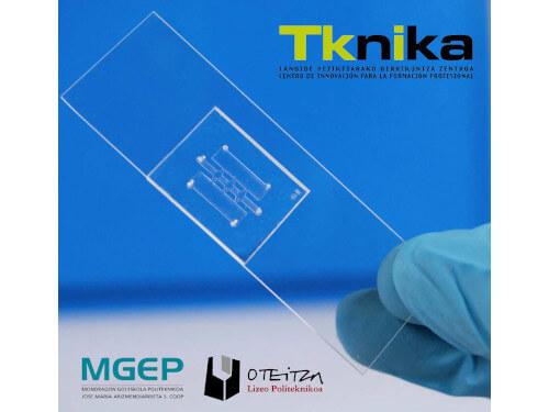 Mikromekanizazio proiektua